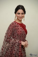 Tamannaah at Speedunnodu Movie Audio Launch